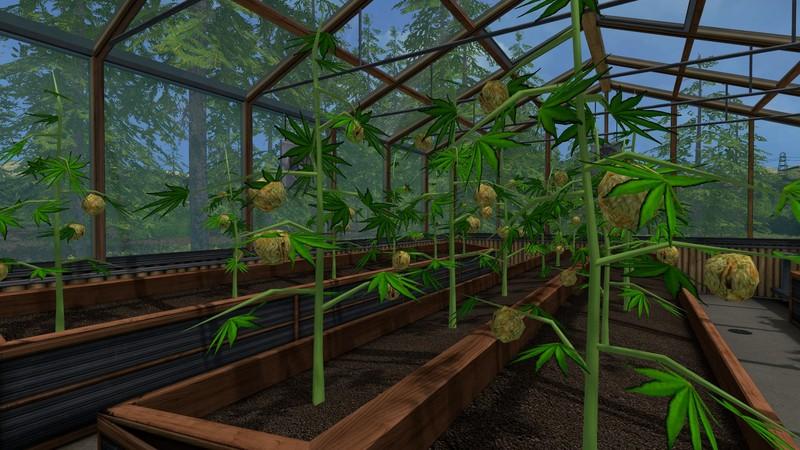 Farming simulator 22 weed mod - nerystats