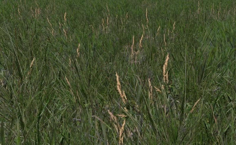 Grass Texture V10 • Farming Simulator 19 17 22 Mods Fs19 17 22 Mods 3211