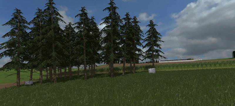 energy-forest-aukrug-v1-0_10
