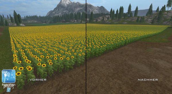 forgotten-plants-sunflowers-v1-1_6