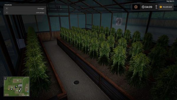greenhouse-hemp-v1-1-0-1_1