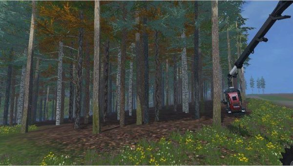 placeable-blue-spruce-v1-0_2