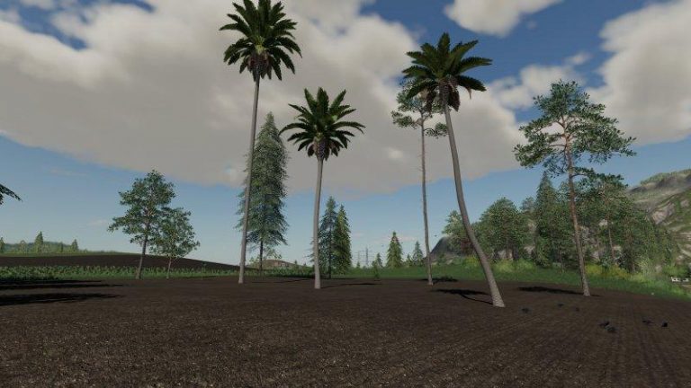 Fs19 16 Trees Placeable V1000 • Farming Simulator 19 17 22 Mods Fs19 17 22 Mods 3230