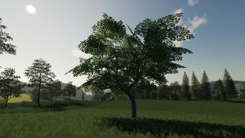 Fs19 Placeable Trees V1000 • Farming Simulator 19 17 22 Mods Fs19 17 22 Mods 2529