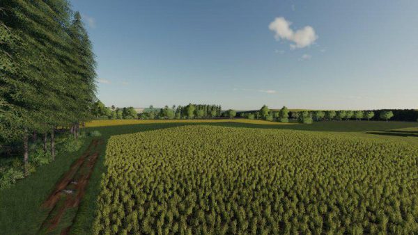 FS19 ROLNICZE POLA V1.0 • Farming simulator 19, 17, 22 mods | FS19, 17 ...