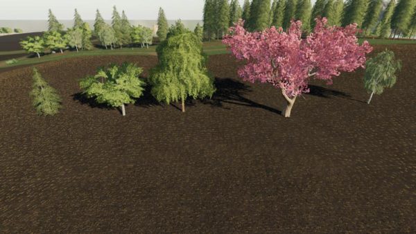Fs19 More Trees Placeable V1010 • Farming Simulator 19 17 22 Mods Fs19 17 22 Mods 4708