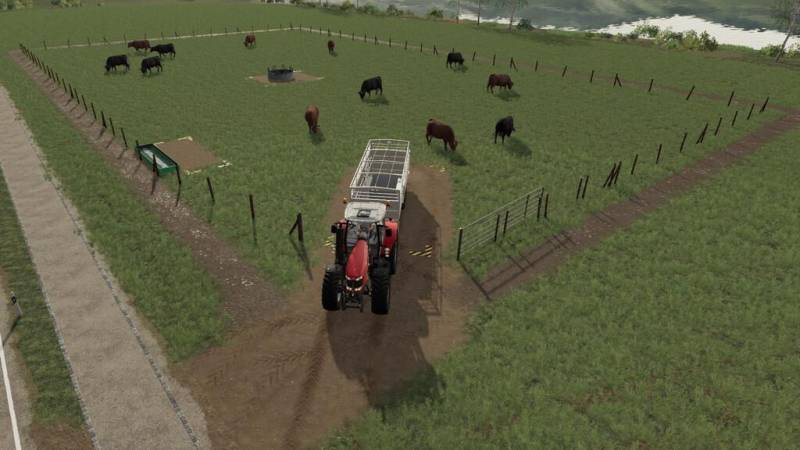 Fs19 Cattle Pasture V1002 • Farming Simulator 19 17 15 Mods Fs19 5713