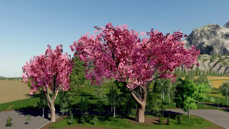 Fs19 Tree Pack Granny Tana V1000 • Farming Simulator 19 17 22 Mods Fs19 17 22 Mods 7638