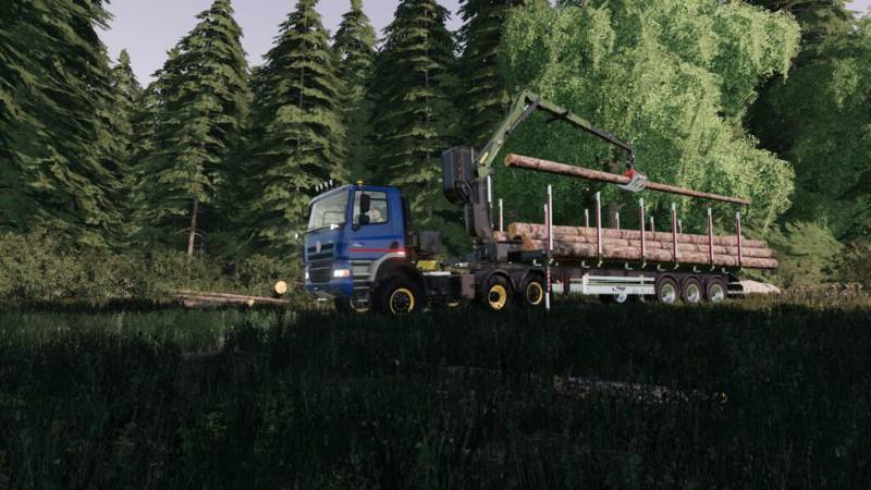 FS19 FLIEGL TIMBER-RUNNER Z-CRANE PACK V1.0.1.0 • Farming simulator 19 ...