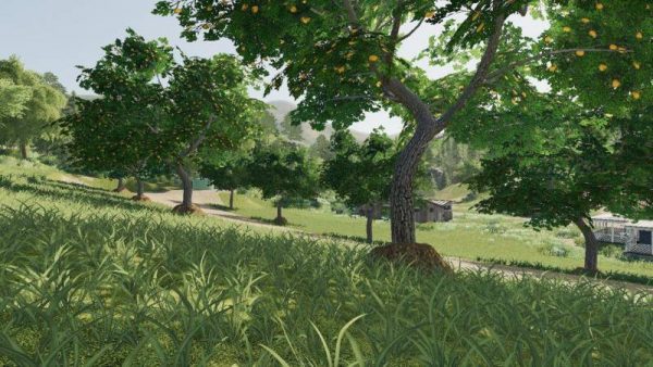 Fs19 Placeable Fruit Trees V1100 • Farming Simulator 19 17 22 Mods Fs19 17 22 Mods 7656